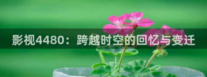 6080新视觉影院免费