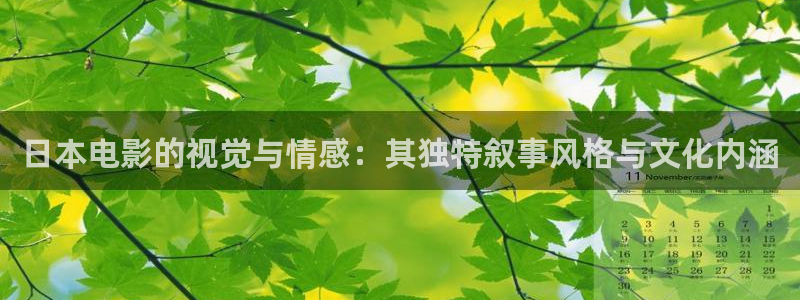 新视觉影院影视大全