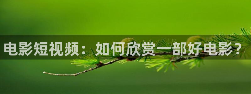 新闻图片