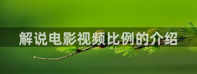 新闻图片