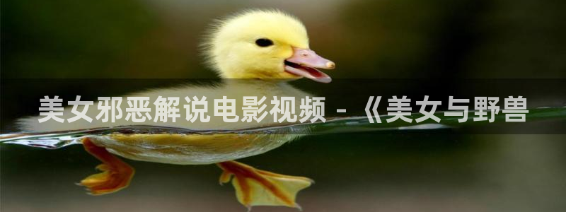 yy6080电影网站新视觉逗别看无敌马