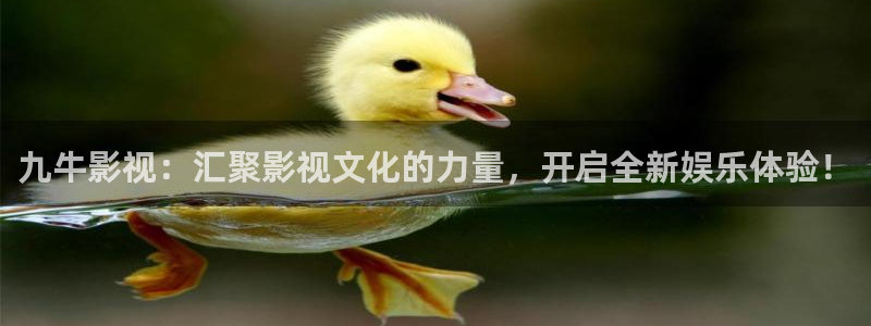 新视觉影视大全免费观看