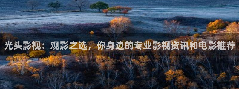 新视觉yy6080高清电视