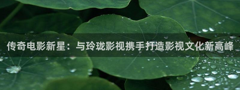 yy6010新视觉电视剧