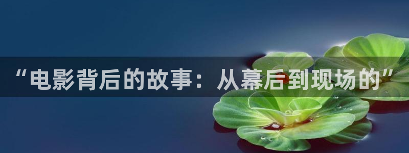新视觉6080三级