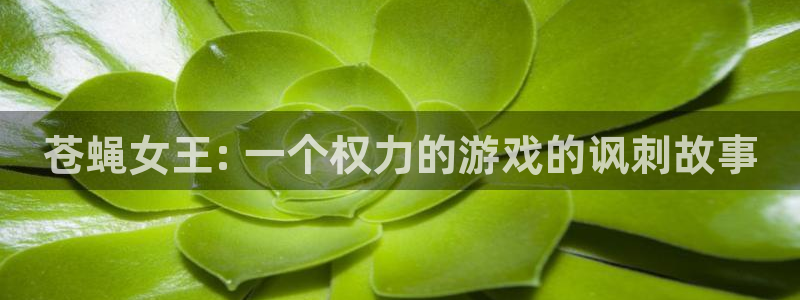 6090新视觉理论电视剧4410