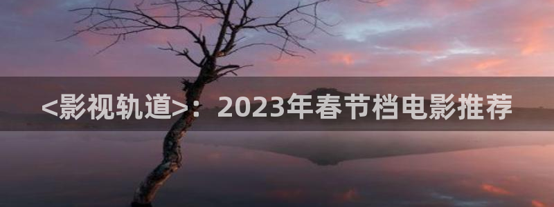 6029新视觉