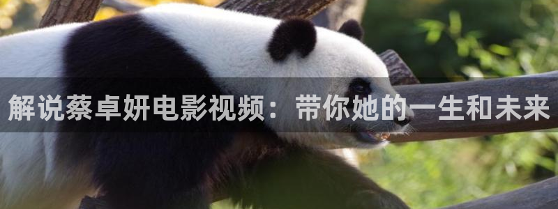 6080yy理论新视觉