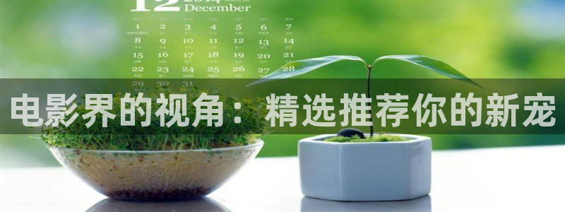 4080新视觉理论电视剧在线观看免费