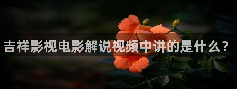 60808090新视觉电影免费播放