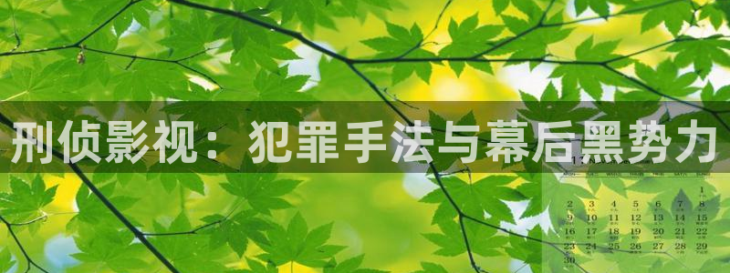 yy新视觉电影电视剧在线观看