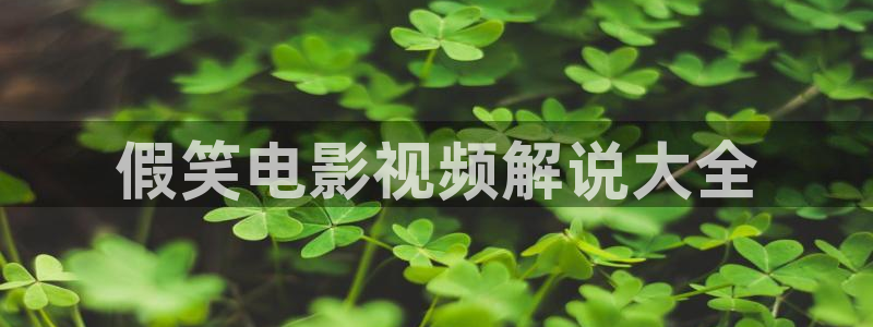 新视觉影院y6080