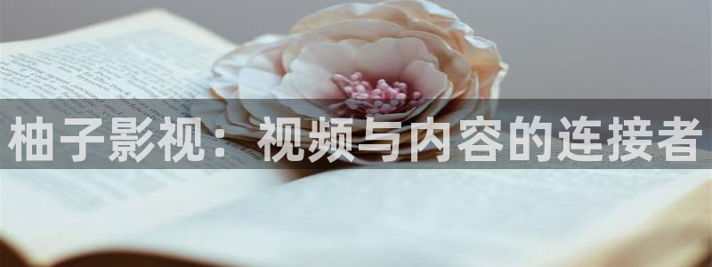 新视觉免费看电影