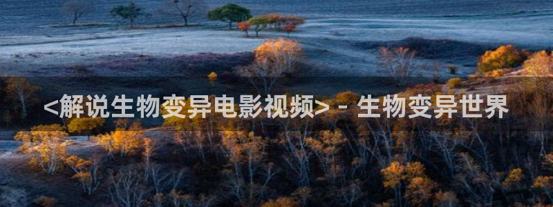 新视觉盛宴