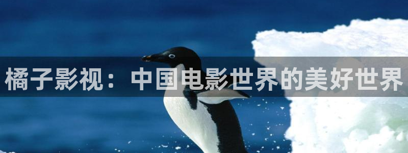 8060新视觉影视