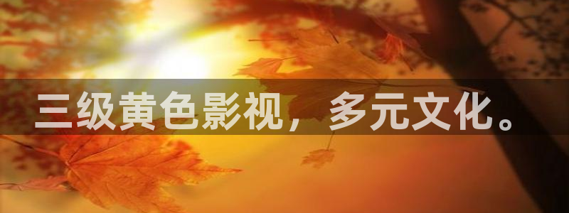 新视觉6080电视剧免费