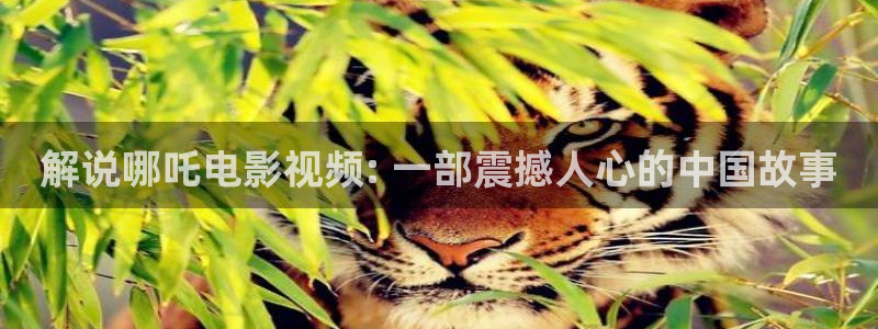 4480新视觉影视剧免费观看