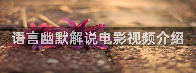 yy8090新视觉电视剧免费上线6080