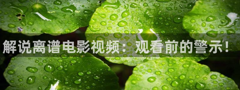 新视觉影院在线6080