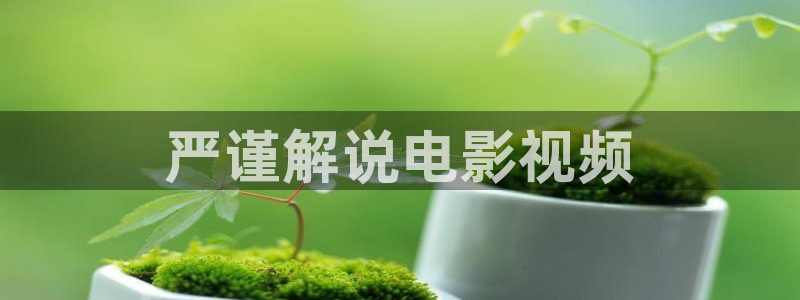 新视觉电影网在线观看