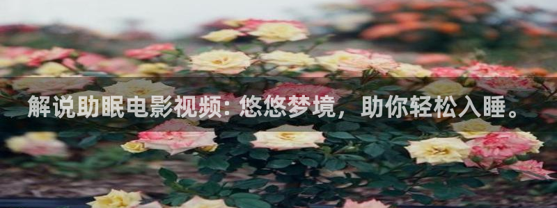 yy1680新视觉电影大全