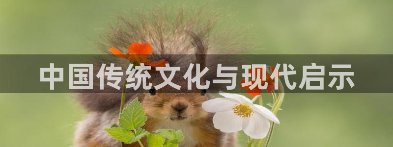 私人新视觉家庭影院