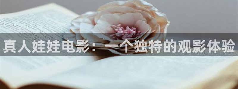 6080新视觉论