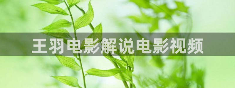 奇领新视觉