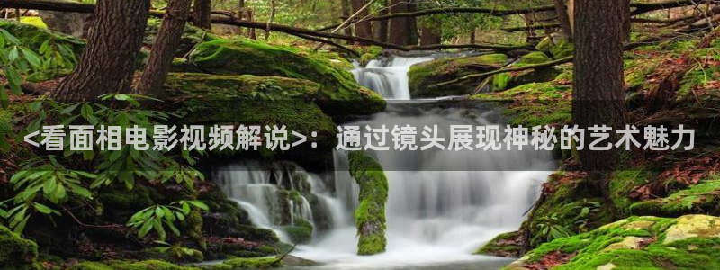 新视觉影院首播电影大全