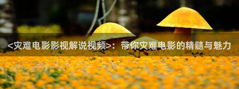 新视觉6080电影电视网
